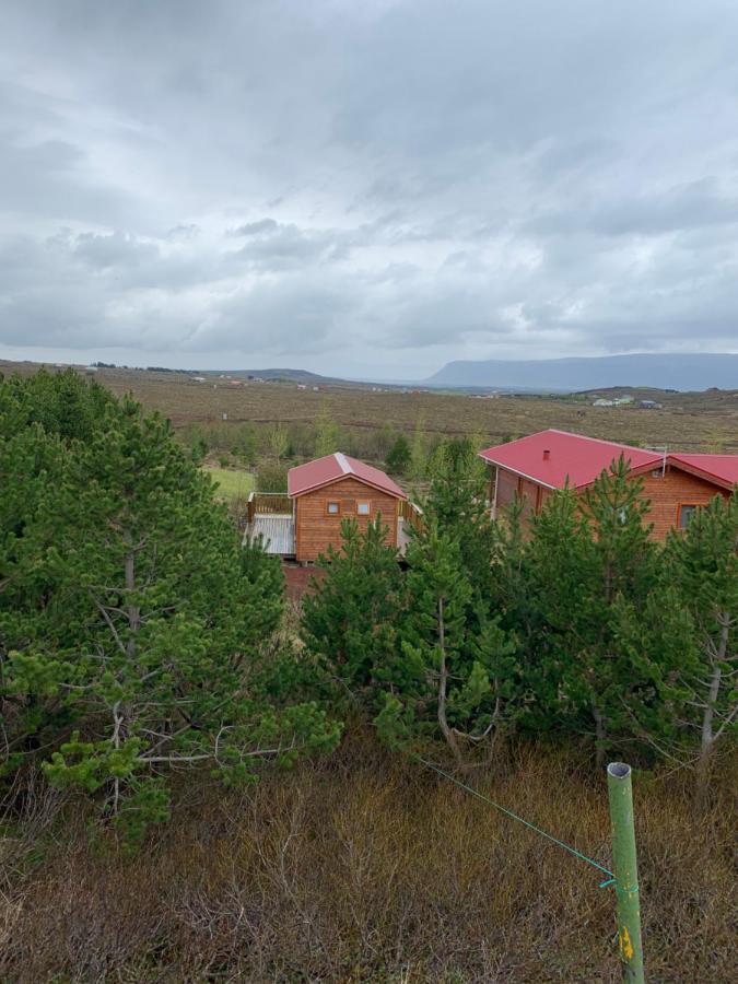 Cosy cottage-Golden circle Kerhraun Exteriör bild